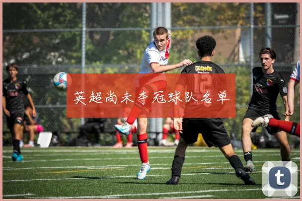 英超尚未夺冠球队名单